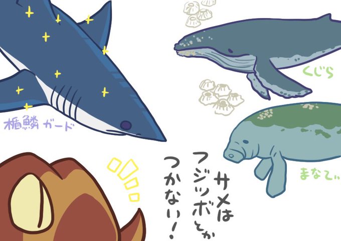 イヌザメさんとネコザメさんのtwitterイラスト検索結果 イヌザメさんとネコザメさんのtwitterイラスト検索結果