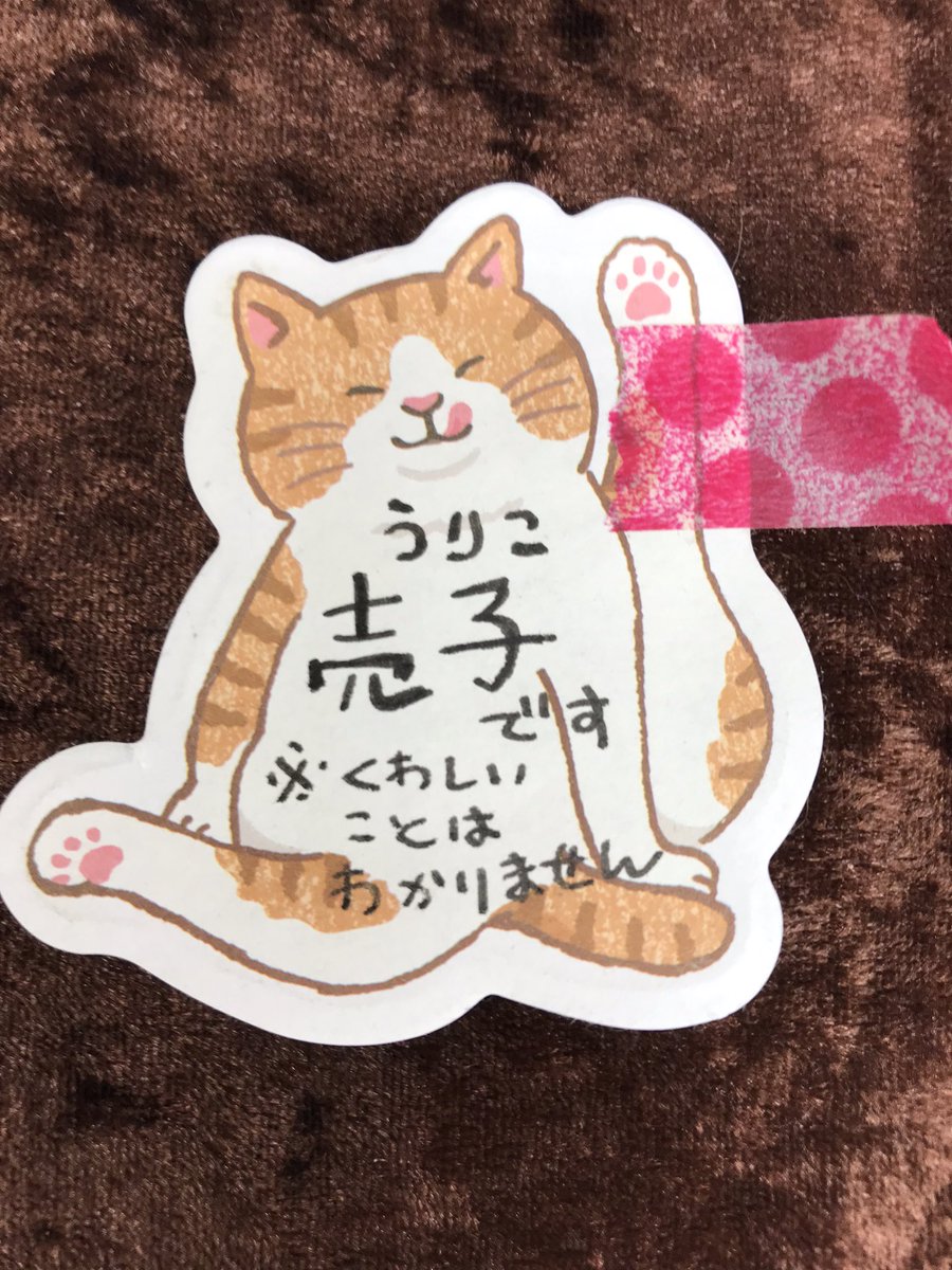 ※詳しいことはわかりません 