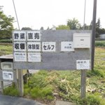 自分で収穫、自分で会計!販売方法が斬新な無人野菜販売所。