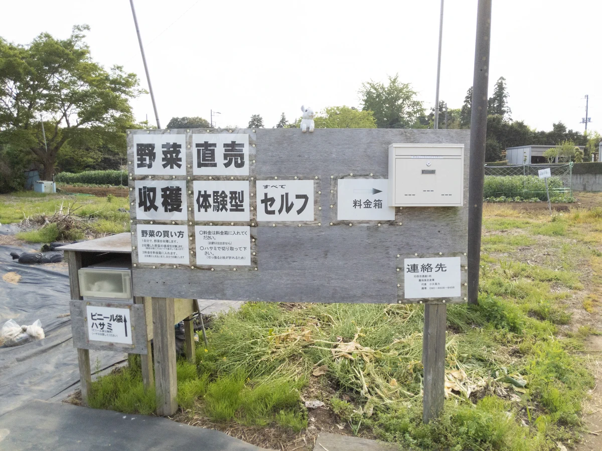 自分で収穫、自分で会計！販売方法が斬新な無人野菜販売所。
