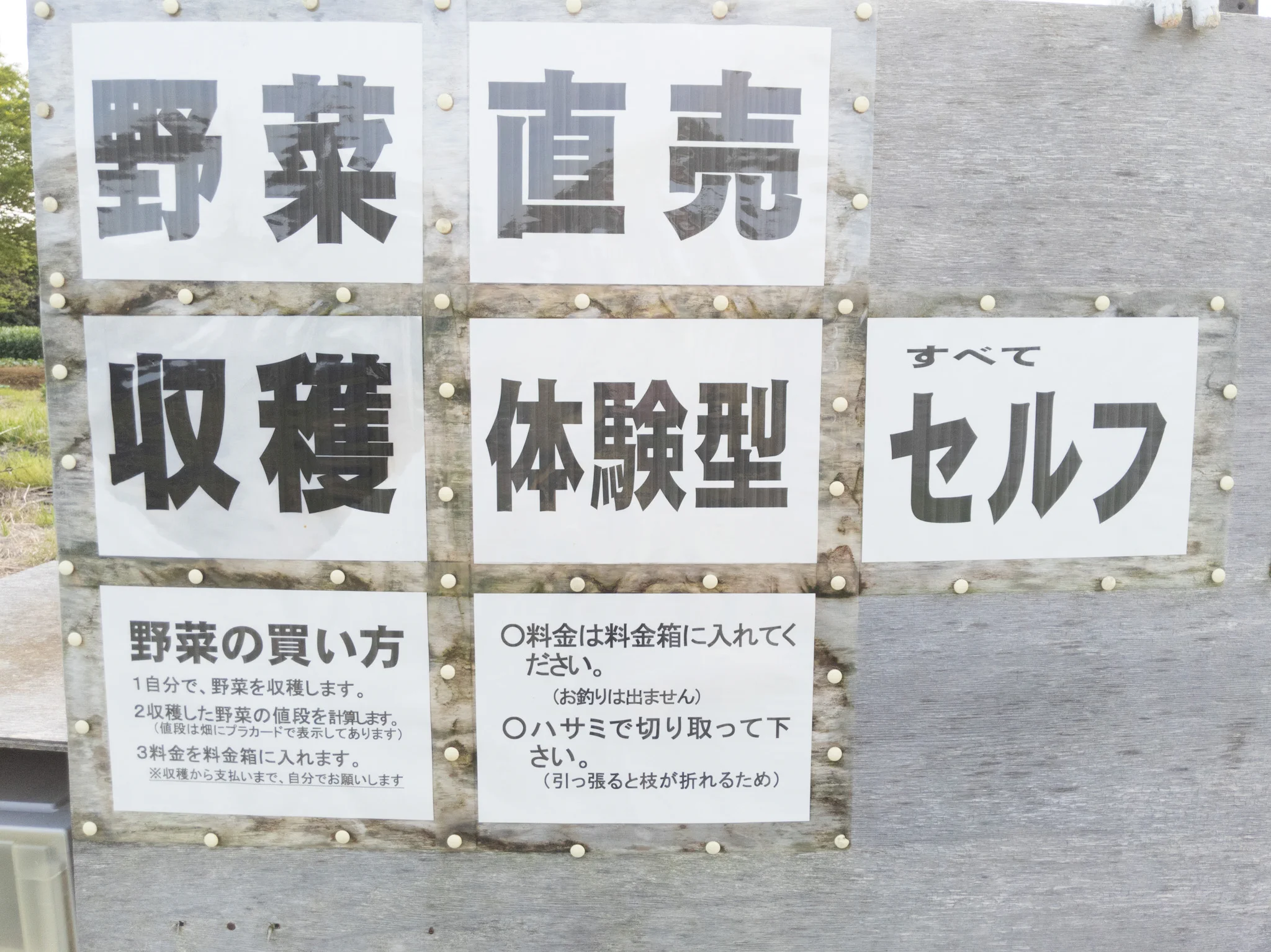自分で収穫、自分で会計！販売方法が斬新な無人野菜販売所。