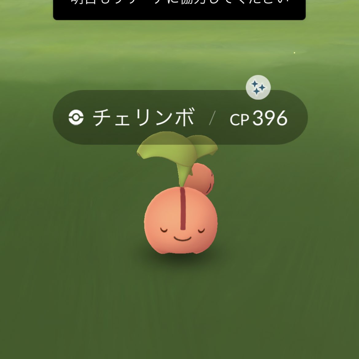 تويتر あみねむ ポケモンgo على تويتر チェリンボの色違い来てくれました 色合いが風味がかっててかわいい ポケモンgo T Co Gp5iyrgm