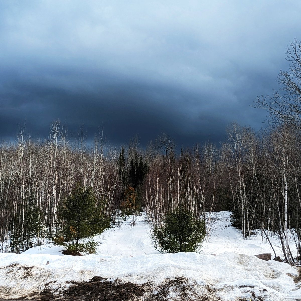 Spring or winter , not sure today