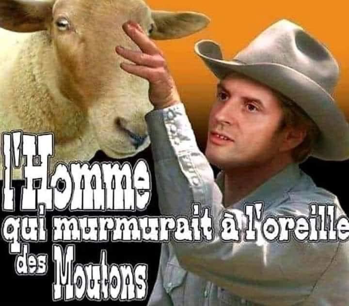 Voilà où nous en sommes arrivés. Un Pays soumis à la bonne paroles d’un Clown 🤡 qui veut déconstruire la France. Et qui est lui-même soumis aux Américains et à l’Europe.