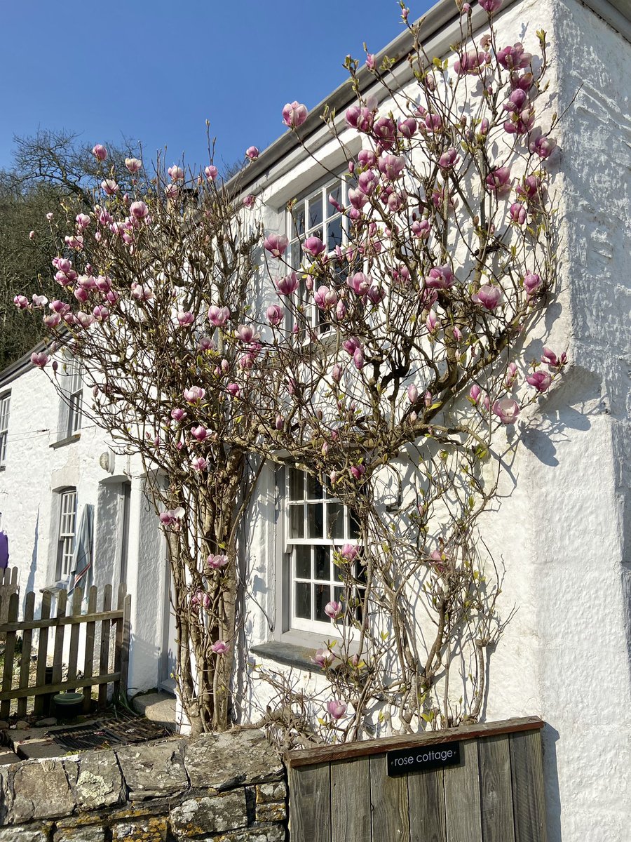 gracust's tweet photo. Rose Cottage in the tiny hamlet of
Durgan, with a beach just moments from the front door, a few small steps will take you right to where
you want to be
πΈπΊπΈ @Cornwall_Coast @beauty_cornwall @StormHour @ThePhotoHour #durgan #cornwall
https://t.co/DTC1Nbucdw https://t.co/bqfZP4USRZ