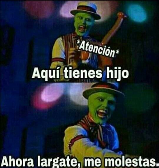 Miguel Alessandro tweet media