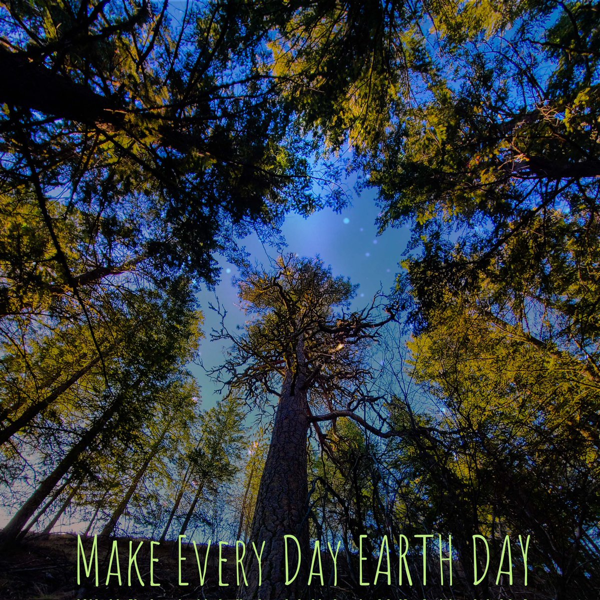 Bluebird Grain Farms (@bluebirdgrains) on Twitter photo 