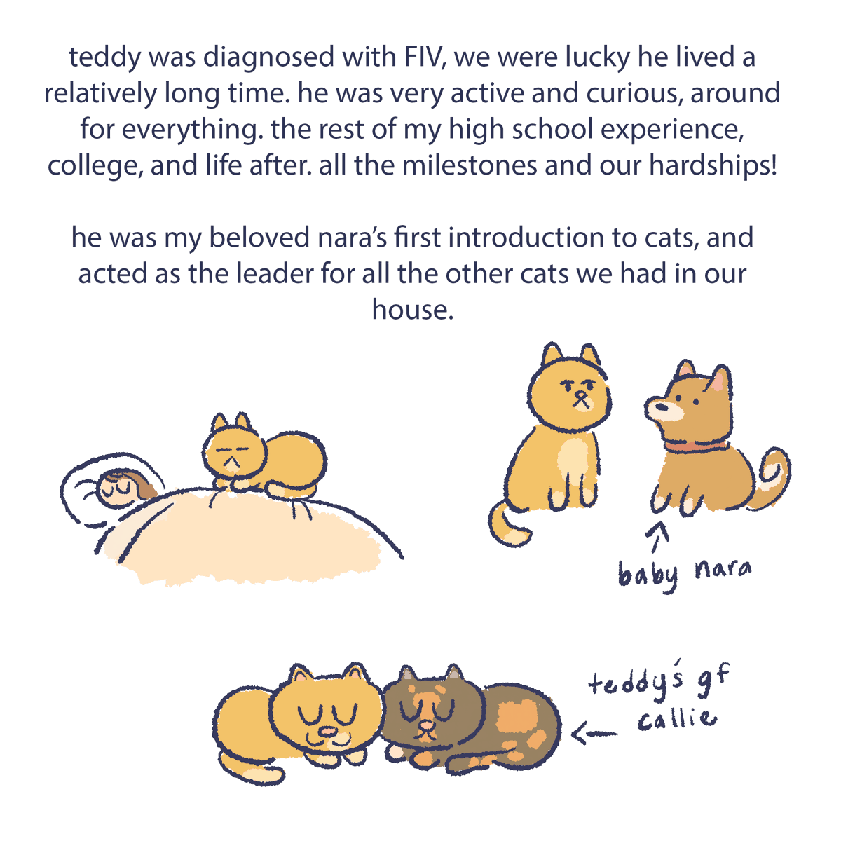 with the passing of my cat teddy, i reflected on the past 8 or so years we had him and drew a little diary talking about some of his history 