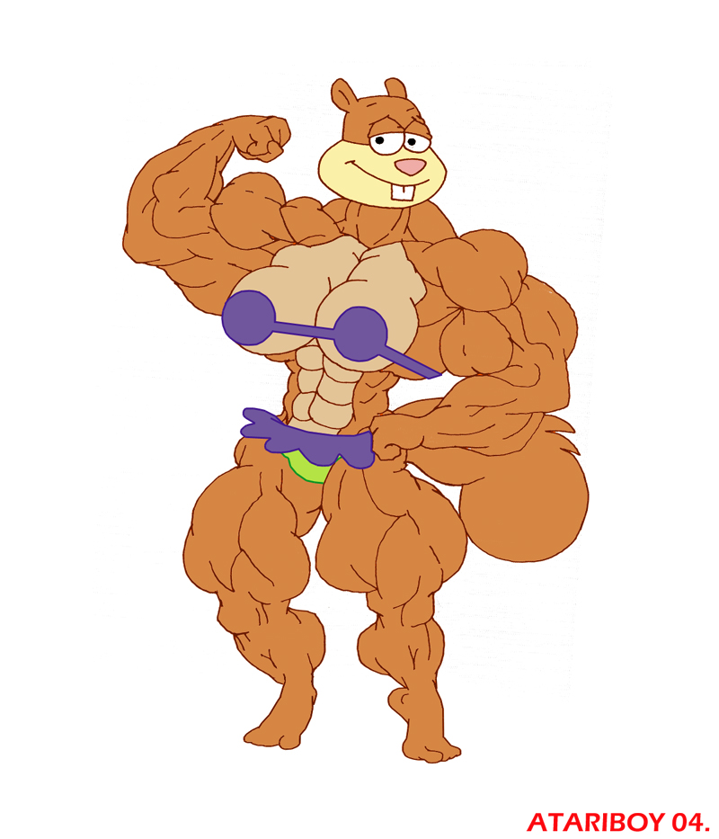 Хомяк качок картинки