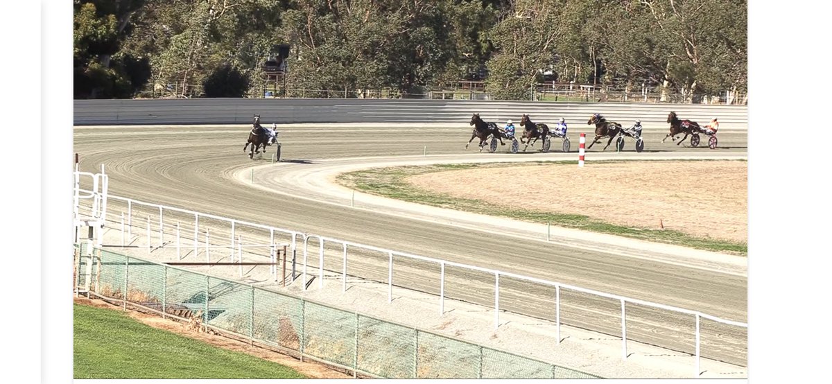 KatWarwick2's tweet photo. Allinablaze is back 👏👏👏. A year off, but still so talented and yet to win his first race ❤️❤️❤️ https://t.co/o9CaiXgPMb