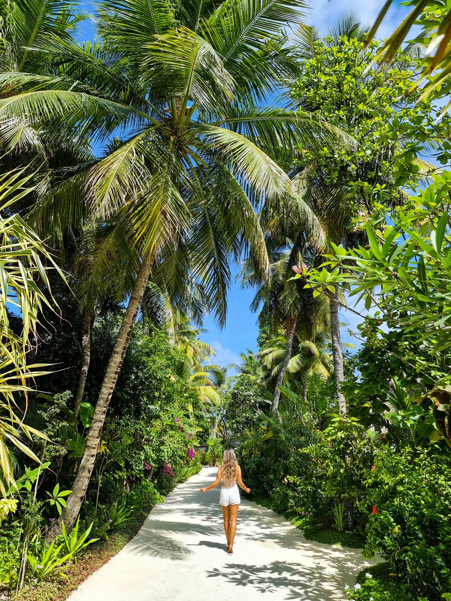 Your daily commute on the island includes this lush garden view, perfect for your island photo!🌿🌺
#OutriggerMaldives #OutriggerMaafushivaru #Maafushivaru #SouthAriAtoll #Maldives #beachholiday 
Photo: Sonja Kokalj