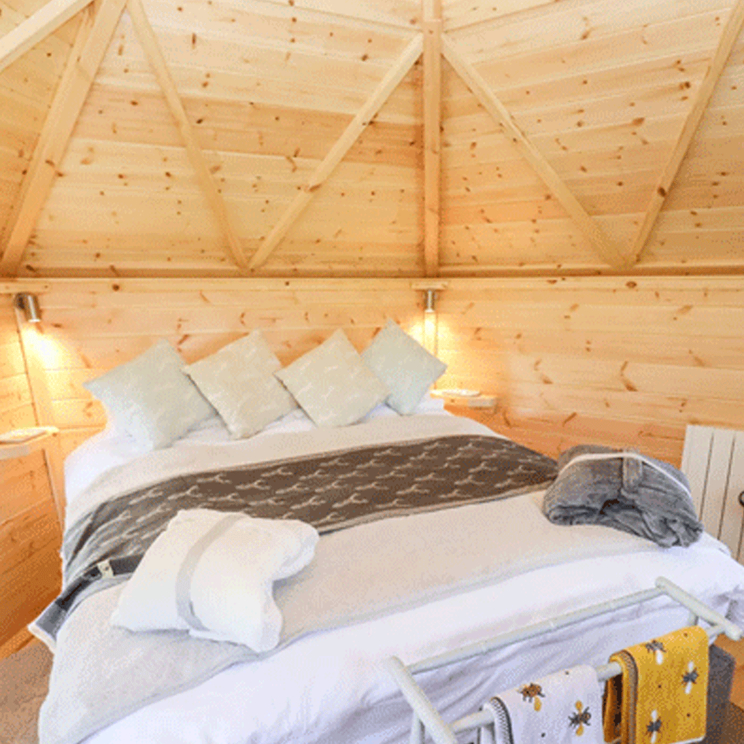 Barbecue Lodges tweet media