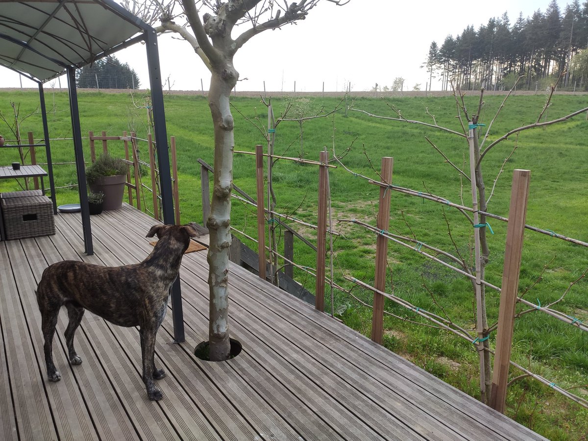 CedricArijs's tweet photo. Had worse places for morning mobility stretches #natureweekend https://t.co/r7ol9zmGUG
