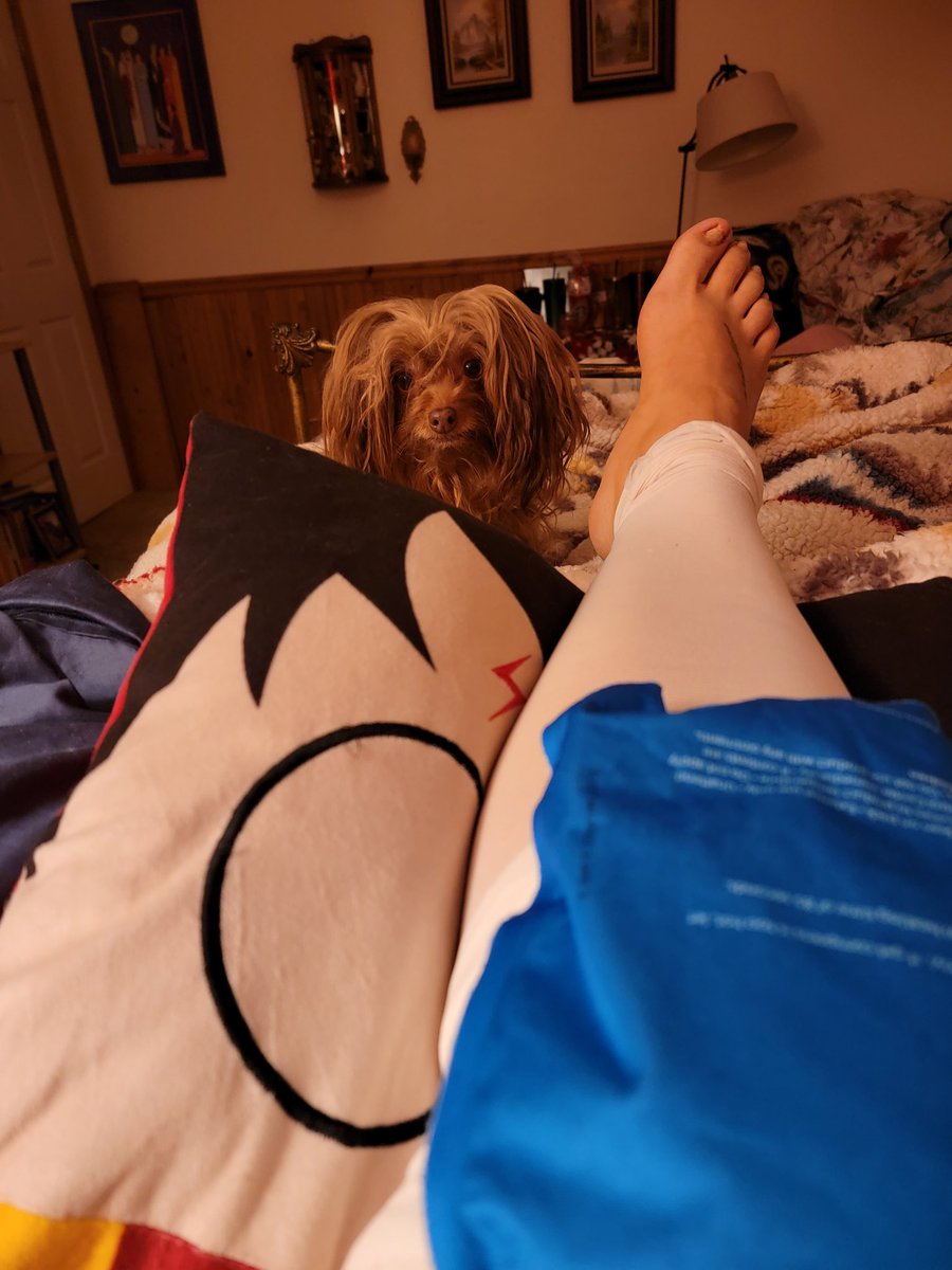 ckallay's tweet photo. So my post-op nurse gave me the wrong instructions.  Things aren't progressing as they should.  Thank goodness my roommate is a Pharm-D and has my back.  Also the answering service for my surgeon was great and the Dr who called me back...
#KneeSurgery 
#CutestNurse https://t.co/j4i46oa4DD
