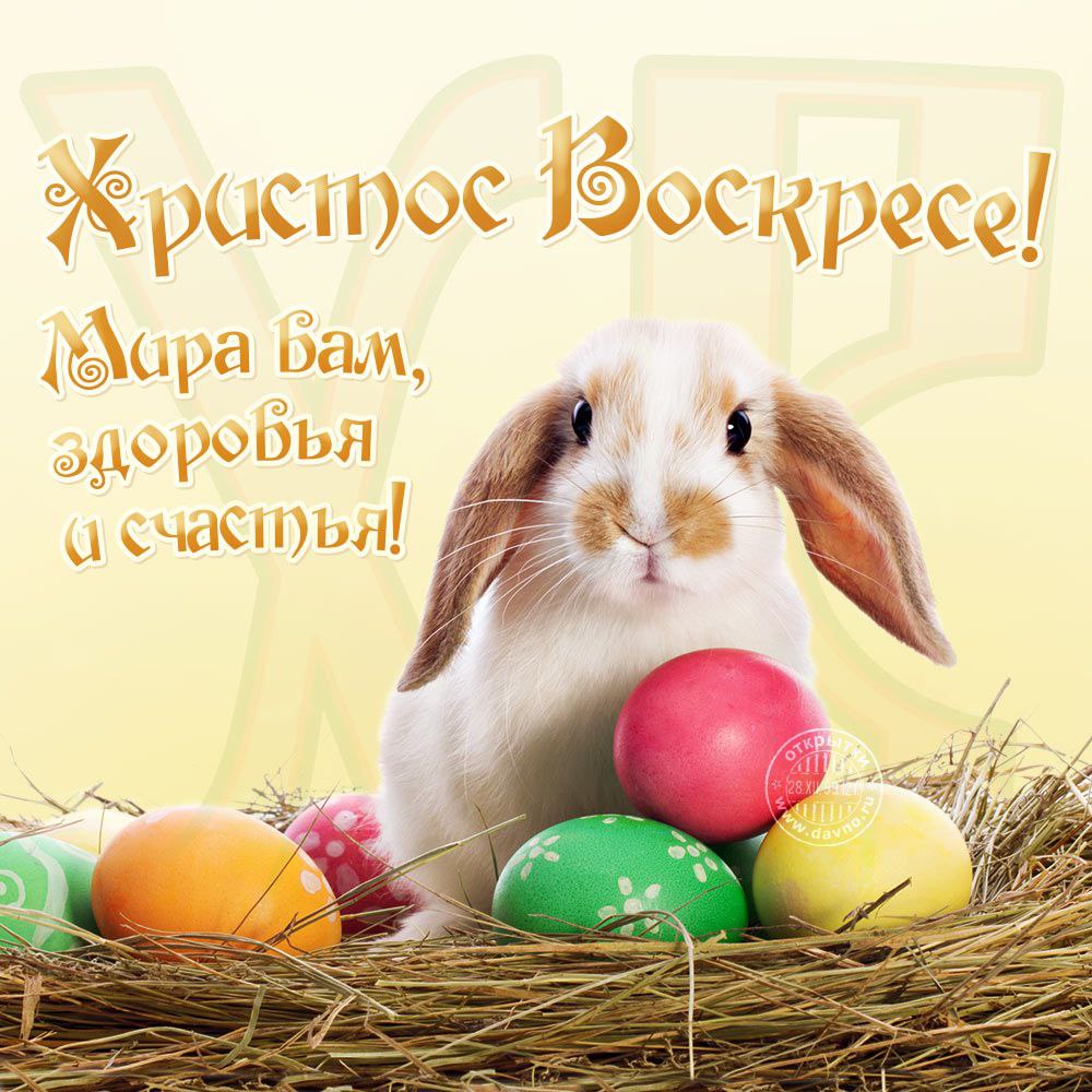 Gochman1's tweet photo. С светлым праздником Пасхи! https://t.co/78auDGEmq0