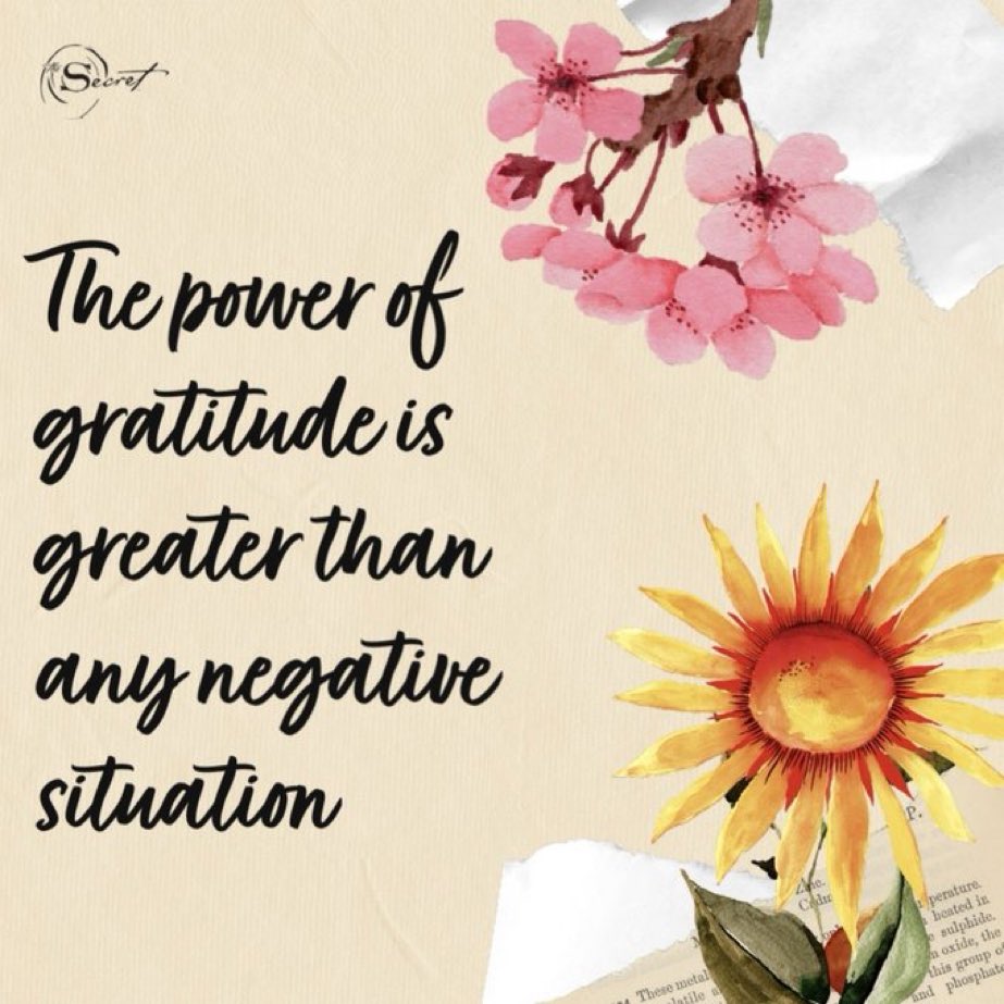 megitanner's tweet image. #sundayvibes #SundayMorning