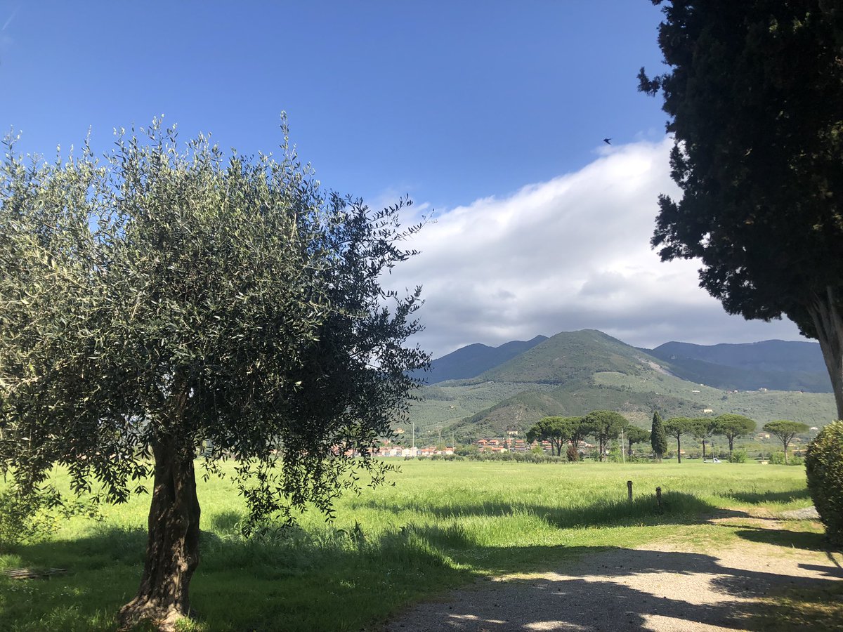 Renatambu's tweet photo. I miei dintorni
La Pieve di Santa Giulia a #Caprona https://t.co/3Ixi76RRn0