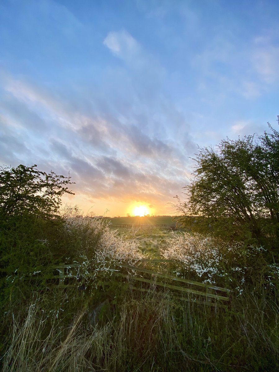 IanGee19's tweet photo. It started with the promise of a fine day but how quickly it can all change. Still, Rico the Retriever and I were treated to lovely sunrise @ThePhotoHour @TWOweather #sunrise #weather #clouds #rural #nature #mobilephotography #oniPhone https://t.co/y86hDzbKbP
