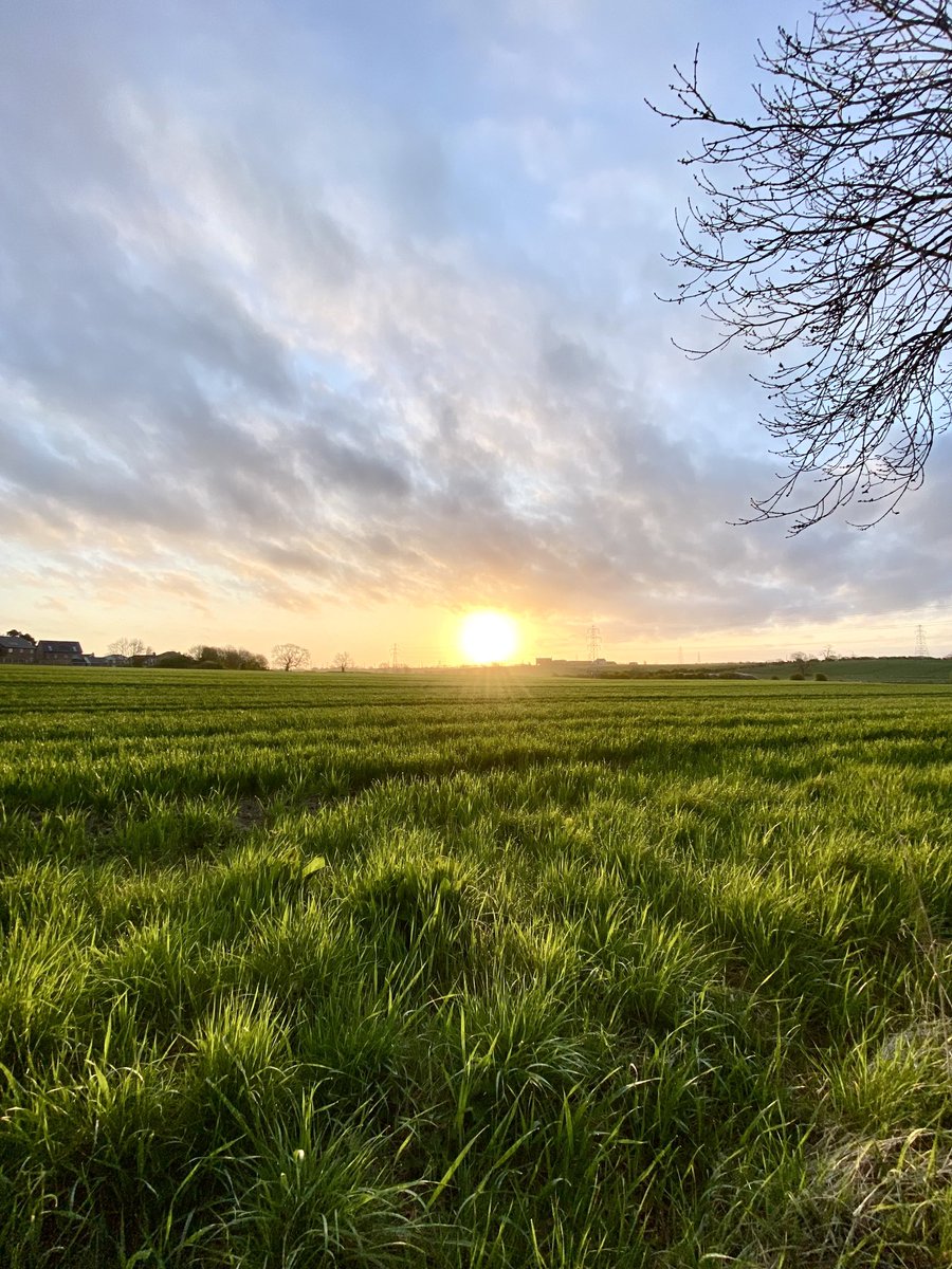 IanGee19's tweet photo. It started with the promise of a fine day but how quickly it can all change. Still, Rico the Retriever and I were treated to lovely sunrise @ThePhotoHour @TWOweather #sunrise #weather #clouds #rural #nature #mobilephotography #oniPhone https://t.co/y86hDzbKbP