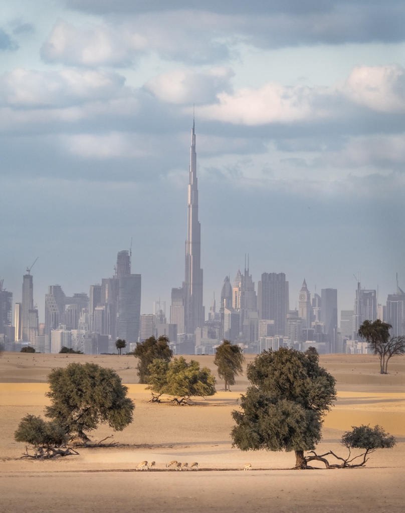 djflore's tweet photo. T-5 in #mydubai https://t.co/UMw4zUwYZf