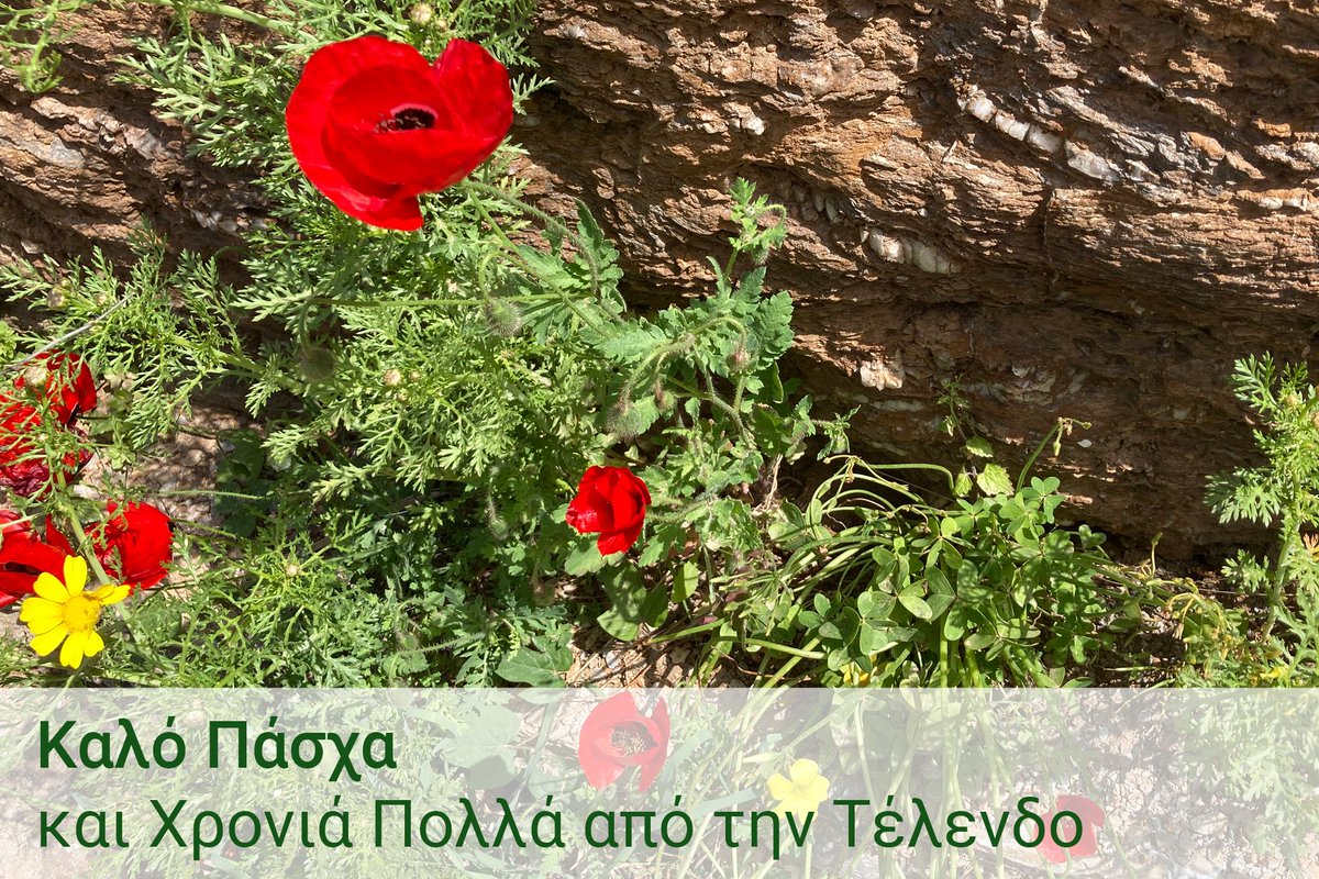 telendos_de's tweet photo. Καλό Πάσχα και kαλό μήνα από την Τέλενδο #telendos #kalymnos https://t.co/amNKi1WOBC