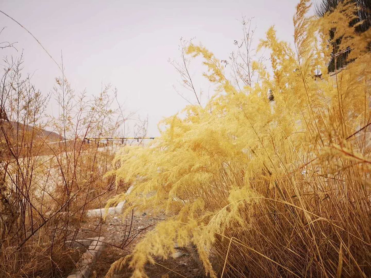 PublicaGratis.net (@publica_gratis) on Twitter photo 