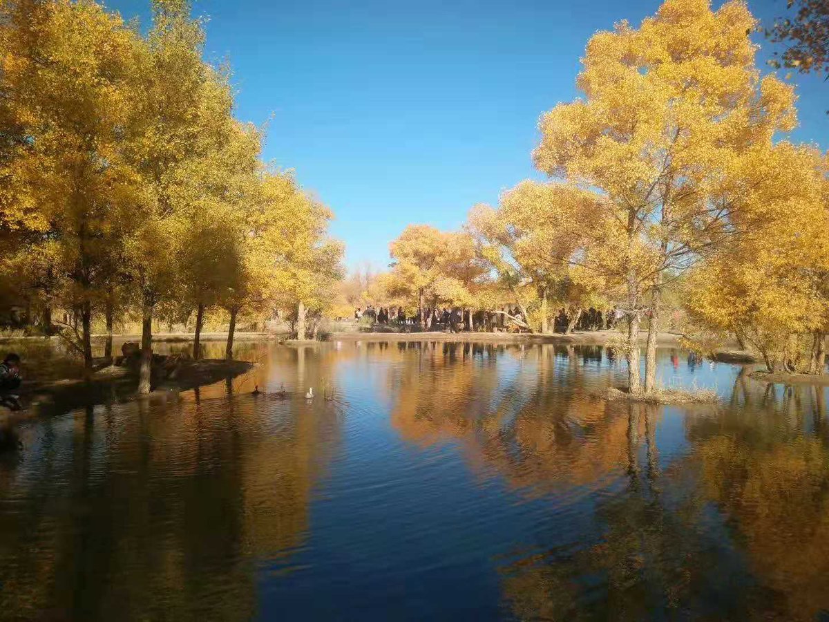 PublicaGratis.net (@publica_gratis) on Twitter photo 