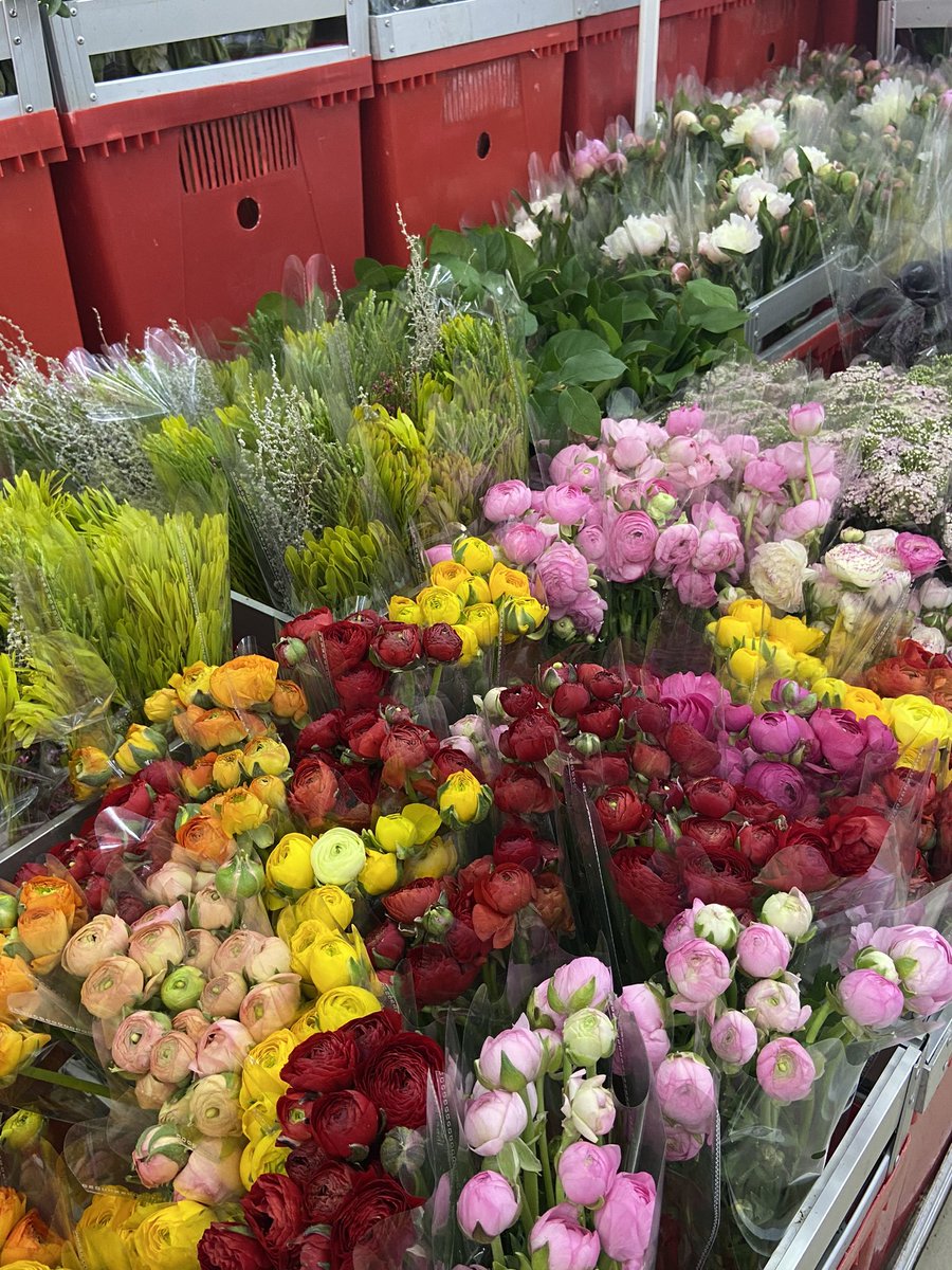 hiddenthread_'s tweet photo. ปากคลองตลาด vibe 🌼🌷🥀 https://t.co/aWa2Yb9I6G
