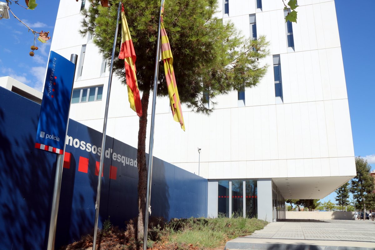 3CatInfo tweet media