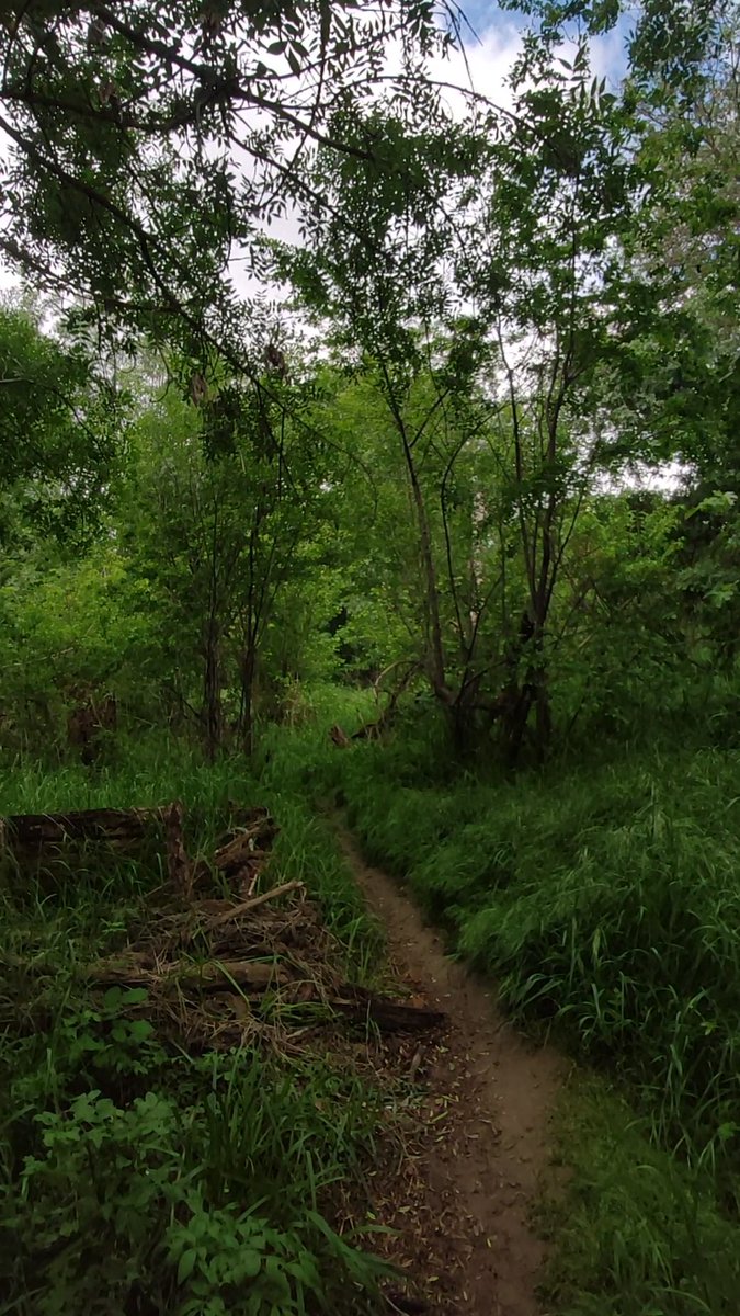 Paseo mañanero 🌾🌱🌤️