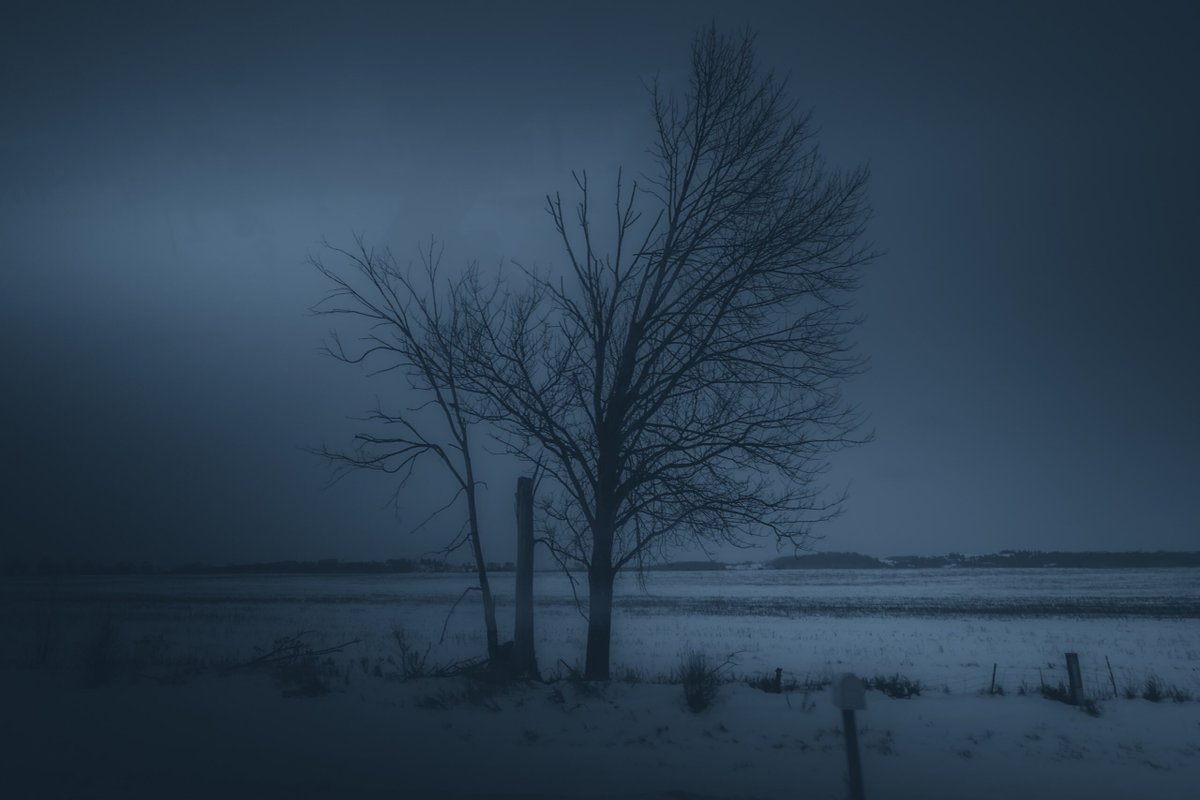 i still dream about you