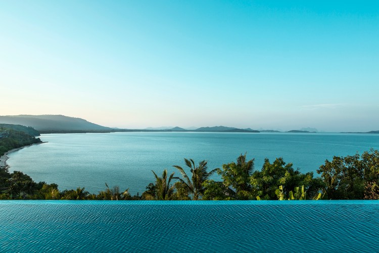 The Bite Mag tweet media