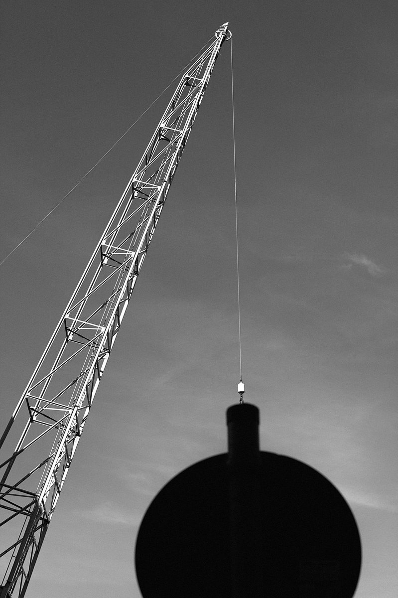 Pinkrnell tweet media