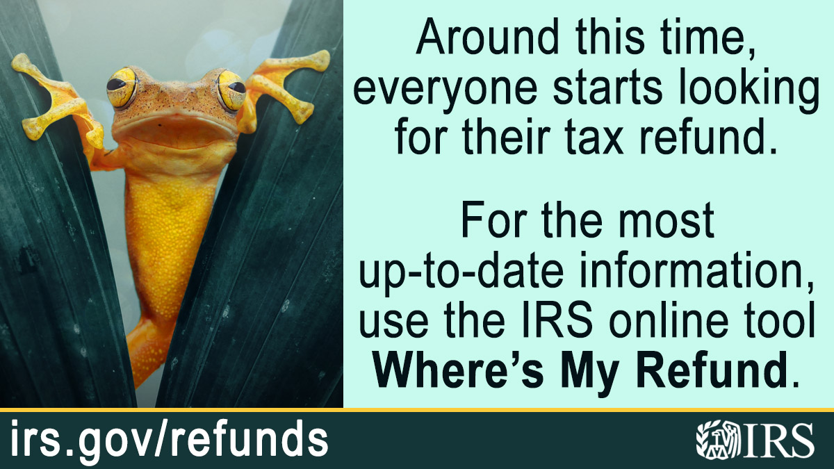 An orange frog peering between the leaves. Text: ‘Around this time, everyone starts looking for their tax refund. For the most up-to-date information, use the IRS online tool Where’s My Refund.’ Irs.gov/refunds; IRS logo.