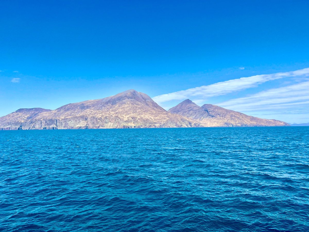 john Clark tweet media