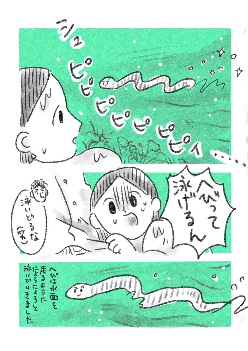 日々日記🐍 