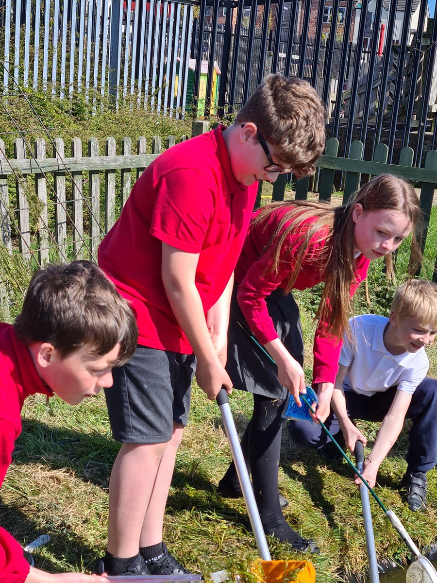 Hawthorn Class tweet media