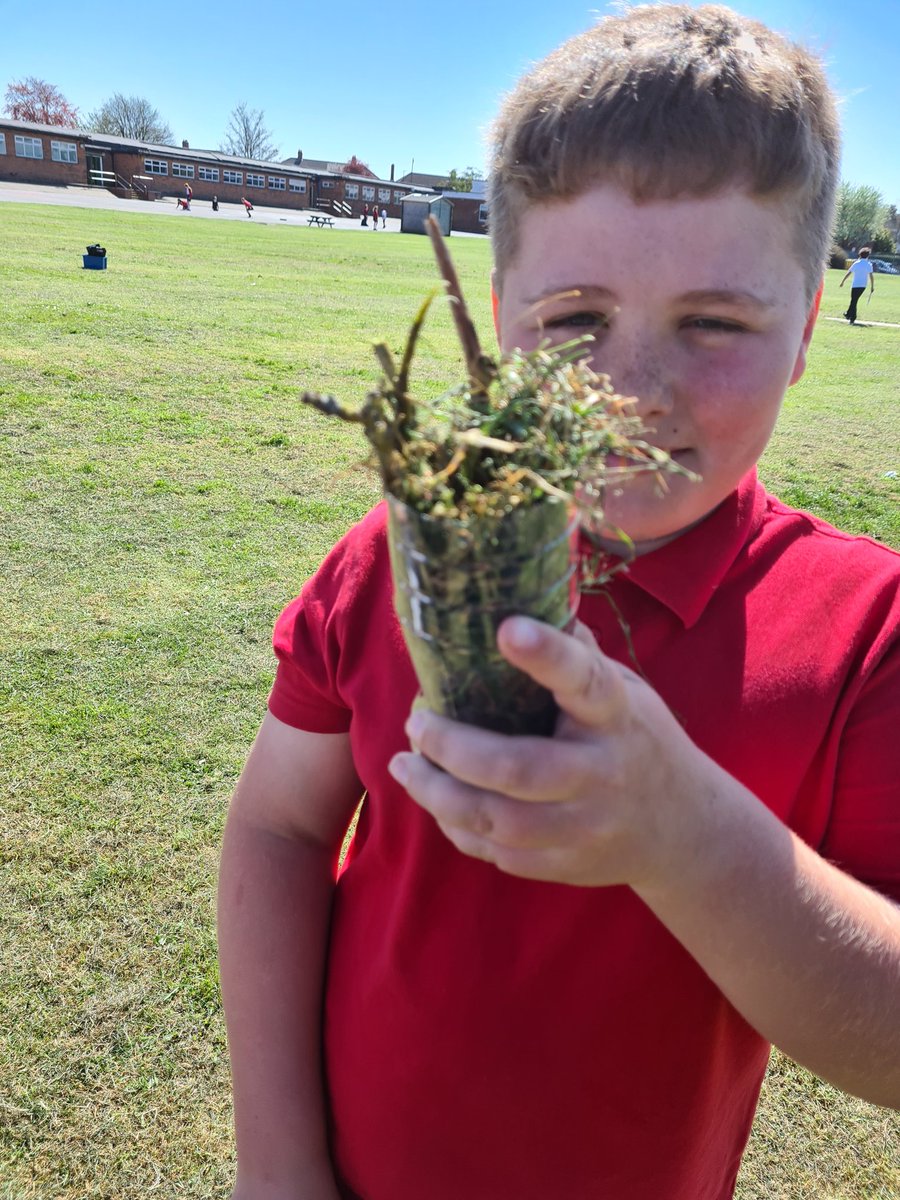 Hawthorn Class tweet media