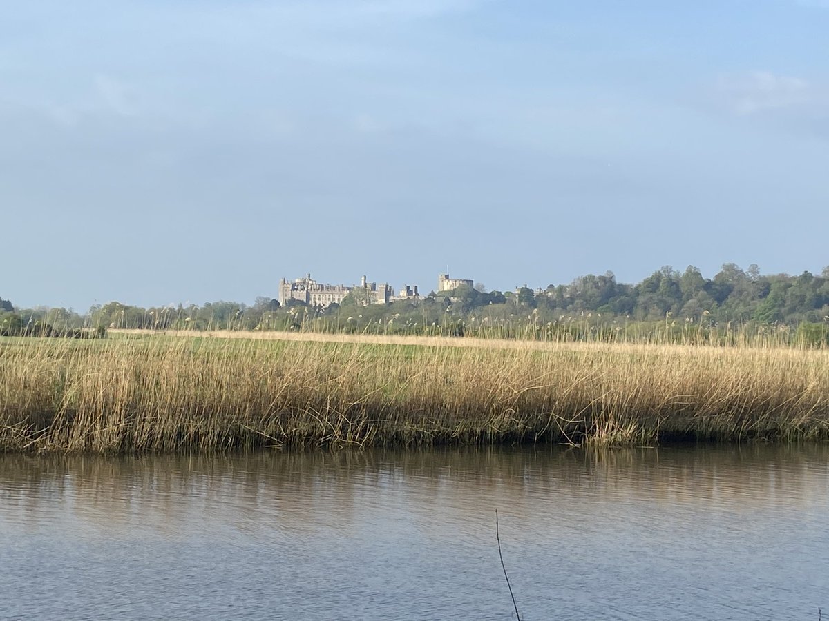 PharmaSmiles's tweet photo. Solitary Sussex Sunday running 🏃♀️ #Arundel #Arunriver https://t.co/ppZCTUN8yO