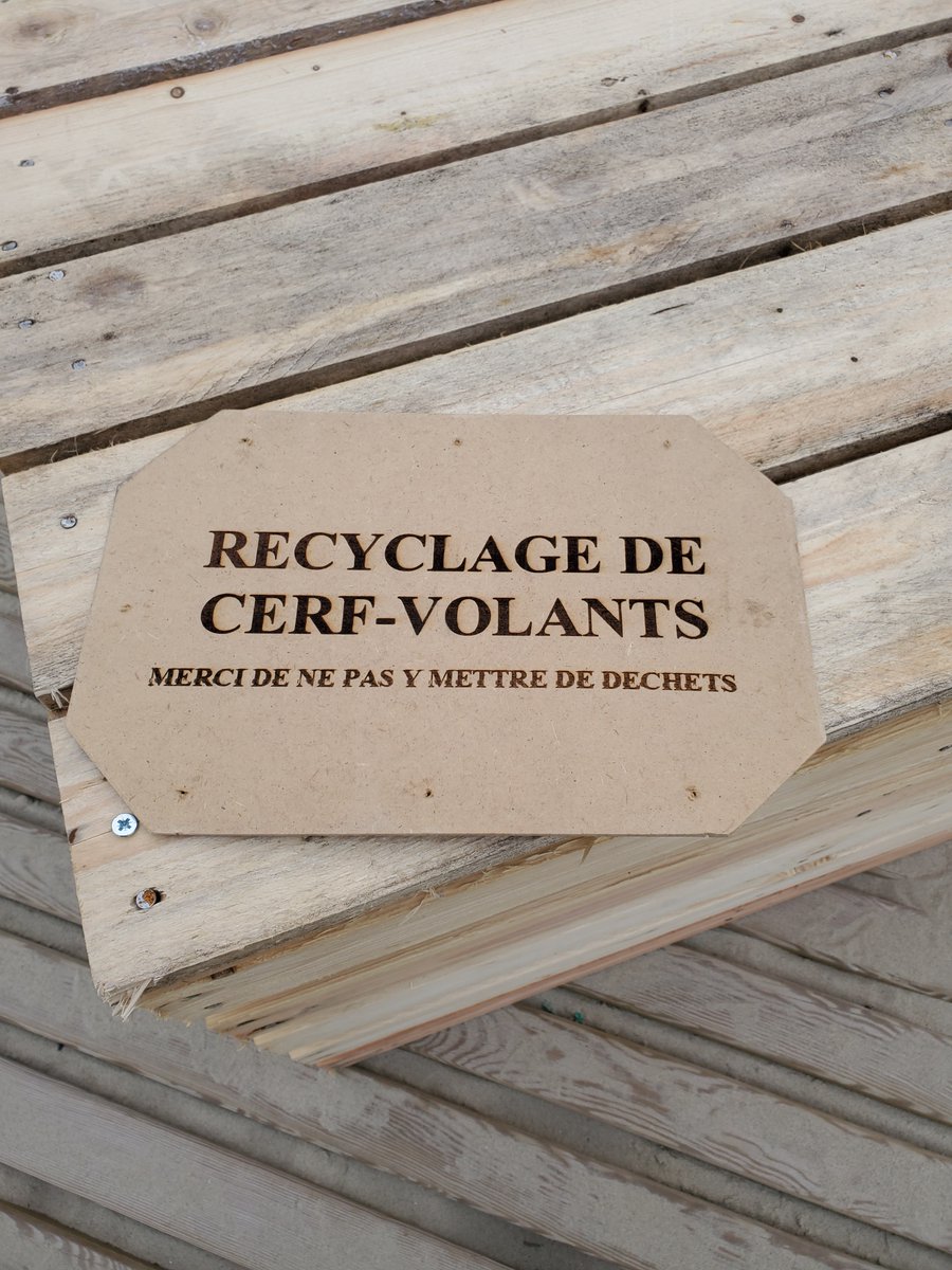 Cerfs-Volants Berck-sur-Mer tweet media