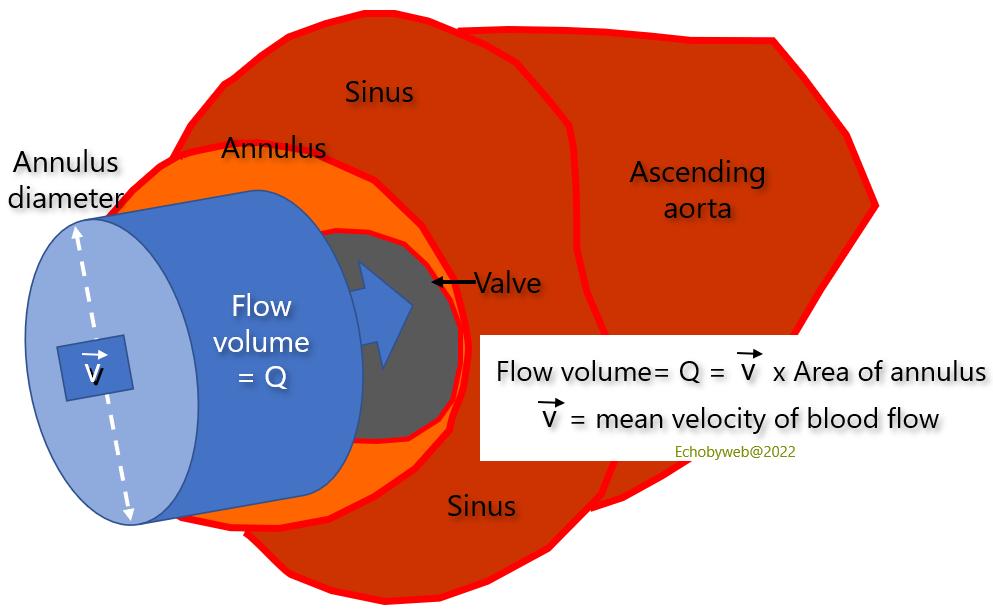 echobyweb's tweet image. New teaching module: How to calculate LV stroke volume with pulsed Doppler. In: echobyweb.com/?page_id=2214
#CardioTwitter #cvImaging #cvEcho #echofirst #cardiology #methodology #strokevolume