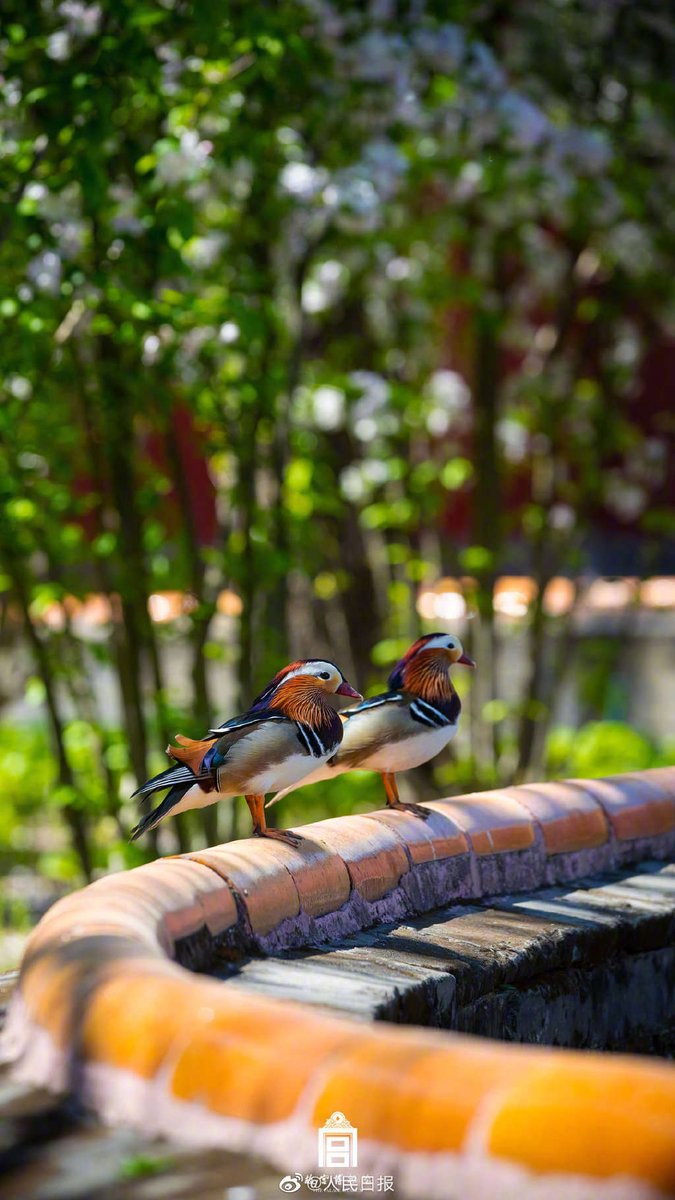 Beautiful China tweet media
