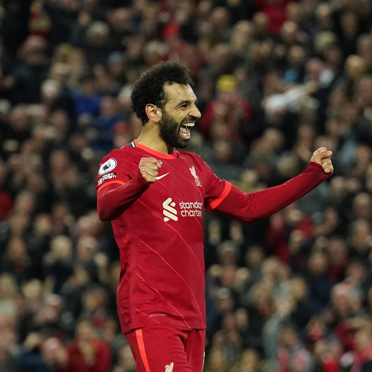 secretshirtco's tweet image. If Mo Salah scores ANYTIME today vs Everton we’ll giveaway a SecretShirt.co box 📦

To enter 👇

🔄 Retweet this tweet
🤝 Follow us

Good luck!