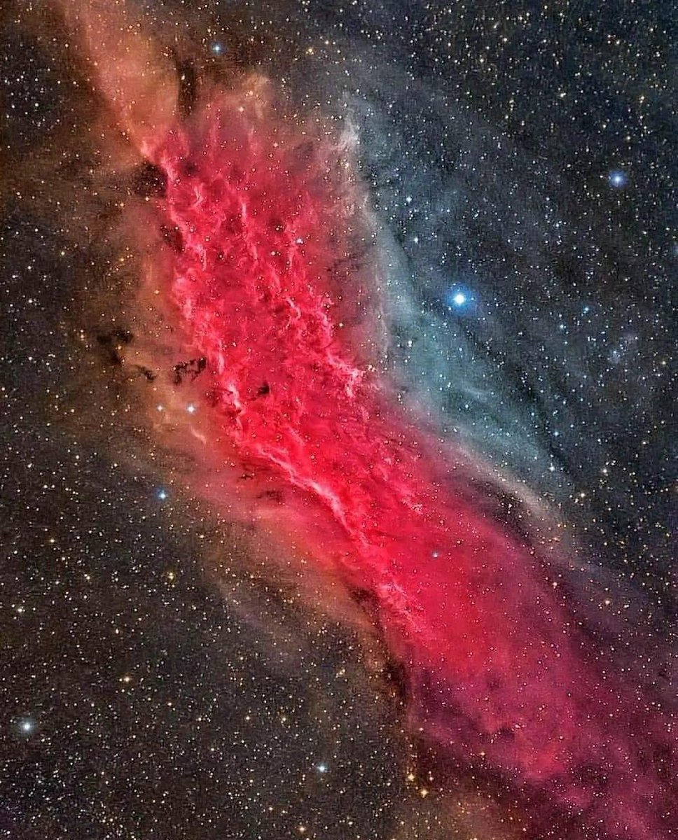 The California nebula