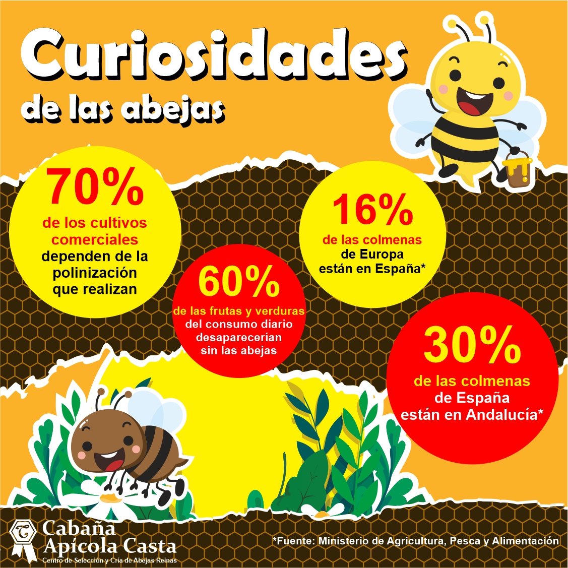 ¿Conocías estas curiosidades sobre las 🐝abejas🐝? Sin lugar a dudas, las abejas son fascinantes. Descubre estas y montón de curiosidades más sobre las abejas en nuestras redes sociales de 𝗔𝗽𝗶́𝗰𝗼𝗹𝗮 𝗖𝗮𝘀𝘁𝗮.

¡Síguenos! 🌼🐝🍯 #apicultura #colmena #abeja #Andalucia