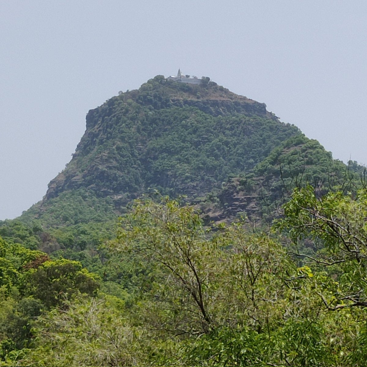 Rabipandacug's tweet photo. A perfect Sunday is all about a tiring Trekking followed by a lazy lunch with Mutton Kasa and a simple sweet dish! What else one could long for!
#sundayvibes
#naturelovers
#SundayLunch
#MagnificentMP
#trekking @lokipalauri @Maharathy3 @SKDAgriMan @manas_muduli https://t.co/VbRzgvslit
