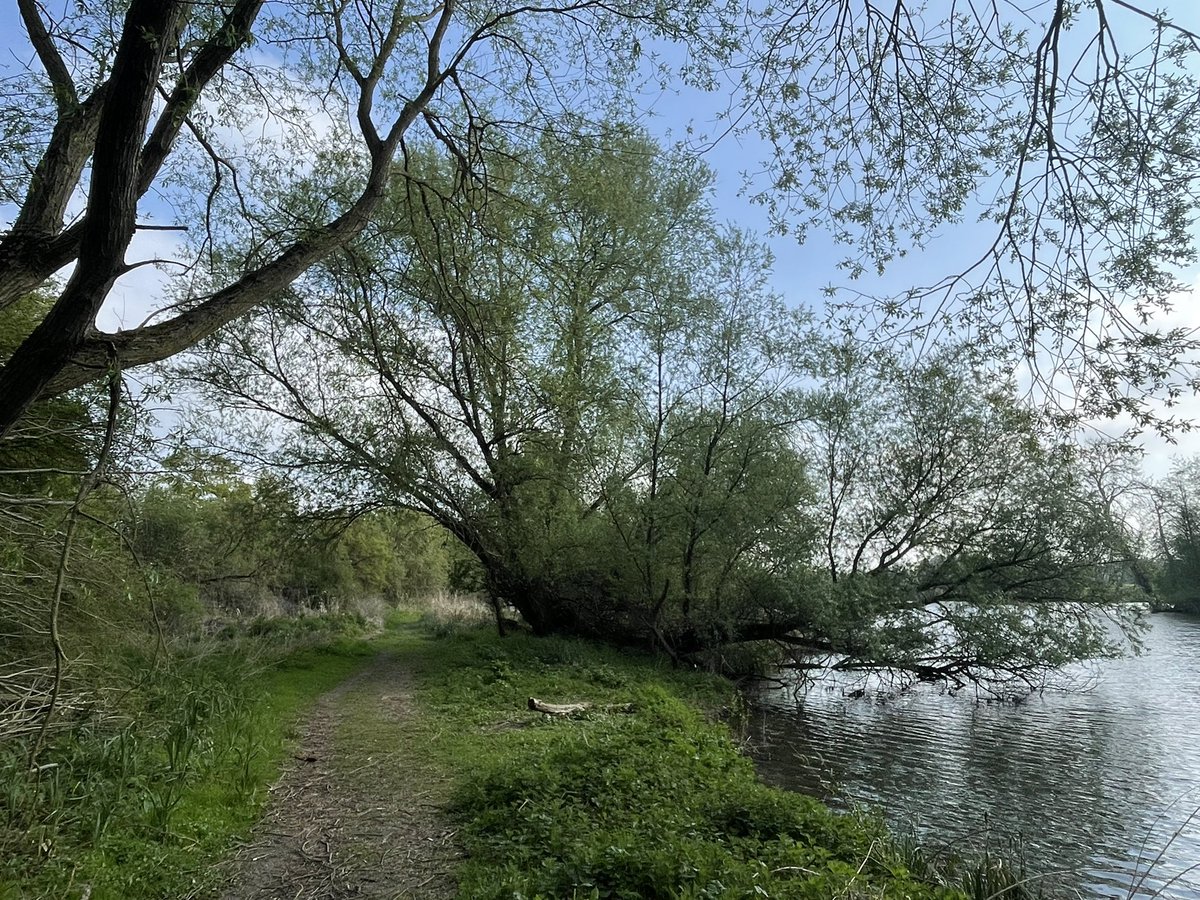 theMSguide.com 🧠 tweet media