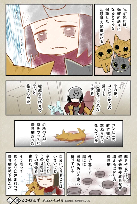 元・野良猫の愛猫たちを保護できて良かった…と改めて思った日の話。
#最近あった小さな感動 
#日記まんが #エッセイ漫画 #コルクラボマンガ専科 