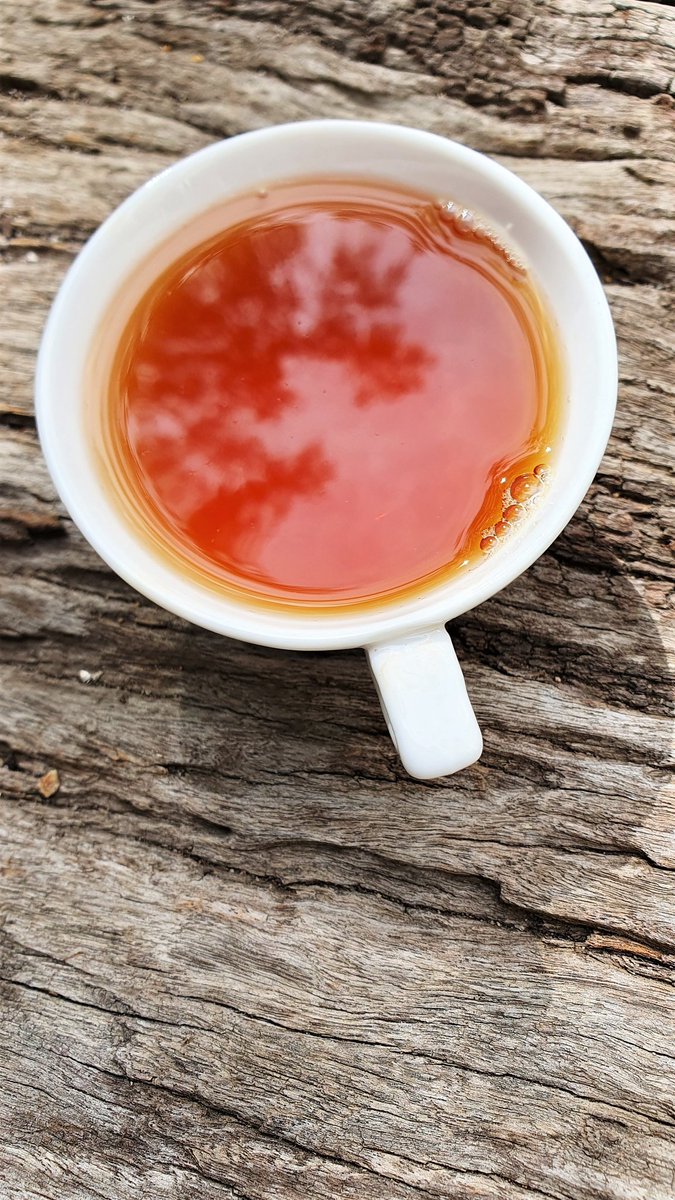 theteacatcher's tweet photo. Sneaky Sunday slurp - Roasted Jin Jun Mei..
An already fabulous tea flipped on its head with a judicious roast..
Honey sweet, verging on caramel and cocoa..
Stocks running low before new tea arrives, so grab some now..!
#SneakySundaySlurp #SlurpOnSundays
#SessionSunday https://t.co/VfBJtr5rYs