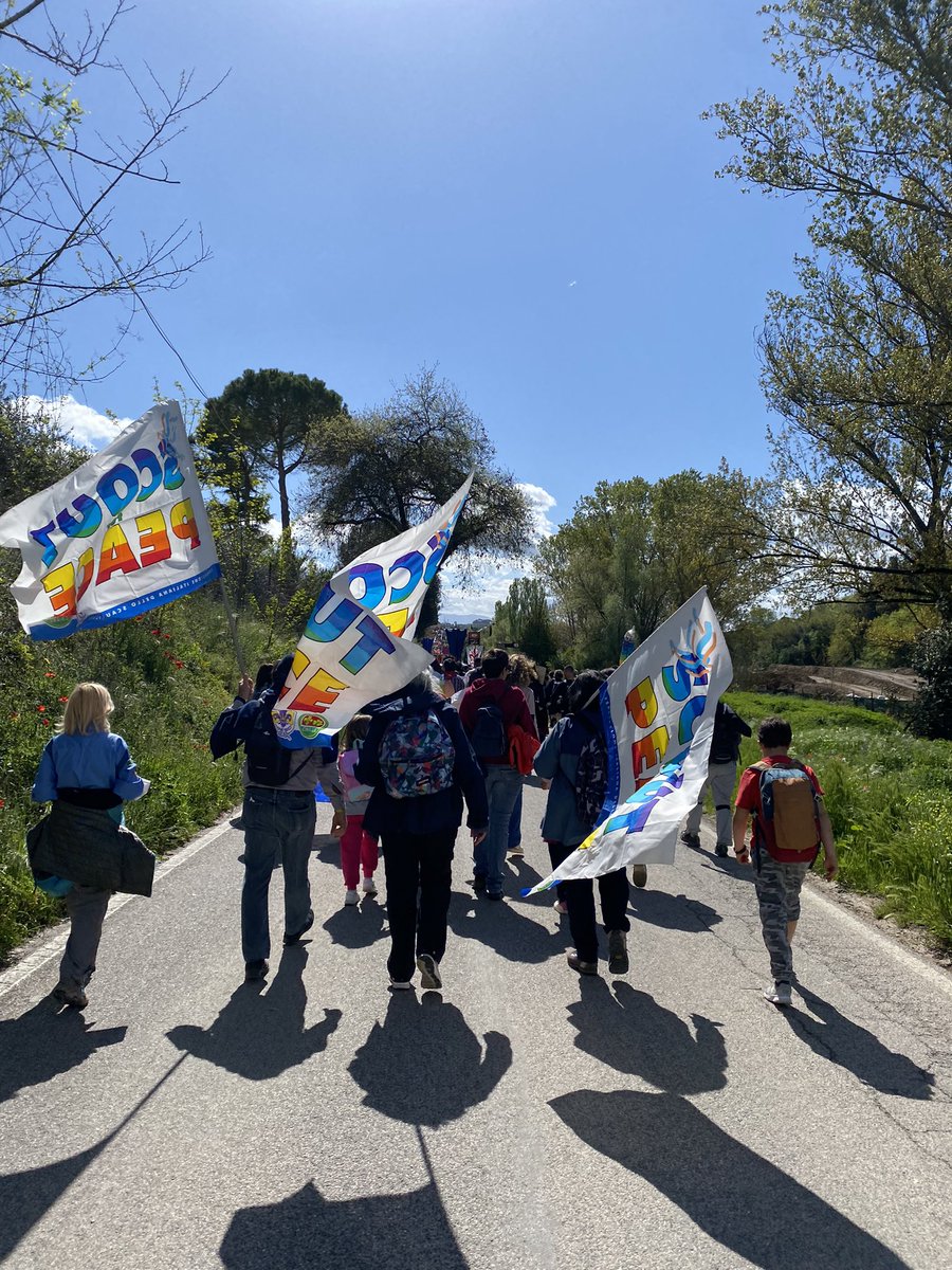 Cecilia D'Elia tweet media